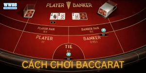 Cách Chơi Baccarat Hiệu Quả Tại WW88 – Từ Cơ Bản Đến Thực Chiến
