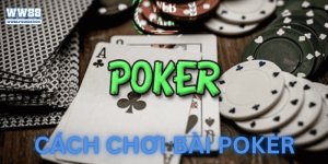 Cách Chơi Bài Poker Từng Bước – Từ Luật Cơ Bản Đến Tư Duy Chuyên Sâu