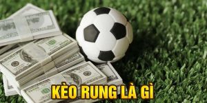 Kèo Rung Là Gì? Cách Bắt Kèo Rung Bóng Đá Hiệu Quả Tại WW88