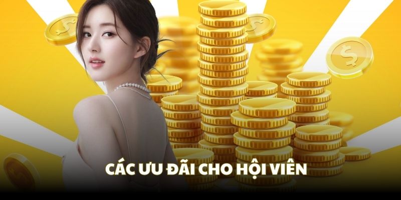 Ưu đãi tân thủ nhận ngay 100K từ nhà cái